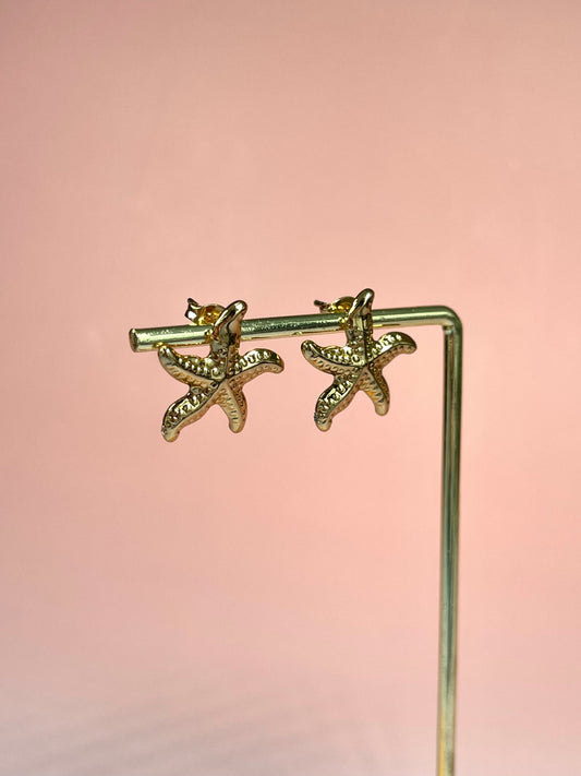 Par de pendientes estrella de mar